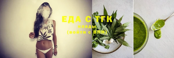 сатива Ельня