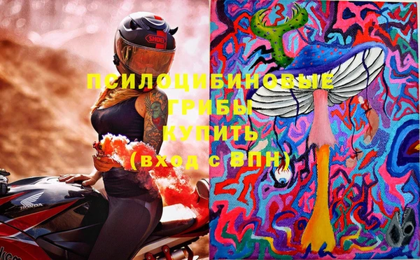 ECSTASY Нефтекумск