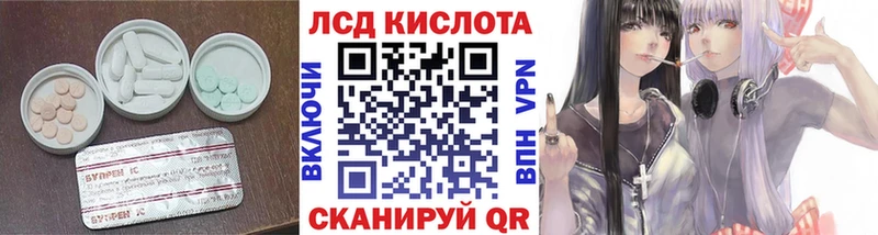 дарк нет клад  Луза  LSD-25 экстази кислота 
